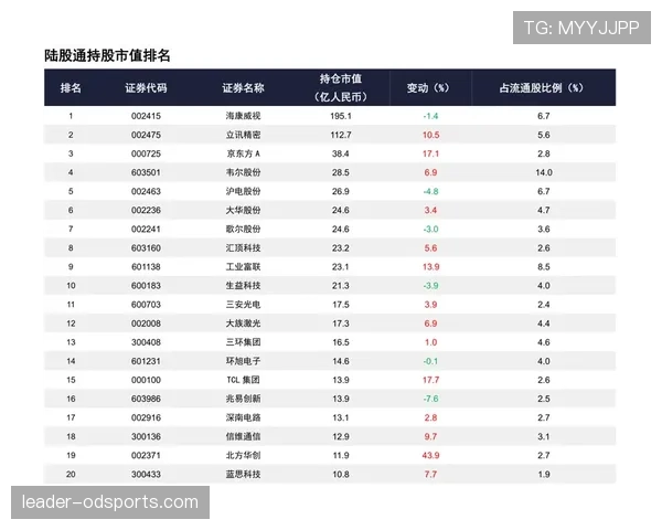 世界杯K组最新动态追踪